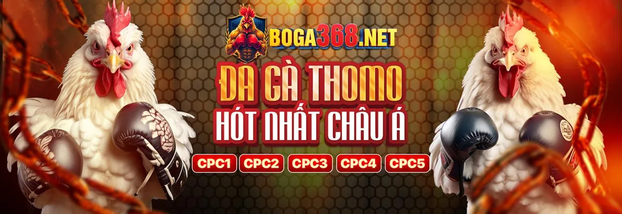 Giao diện ứng dụng s6667 chính thức trên điện thoại