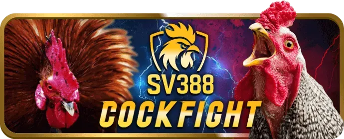 Ưu đãi mới nhất s6667 chính thức 2024